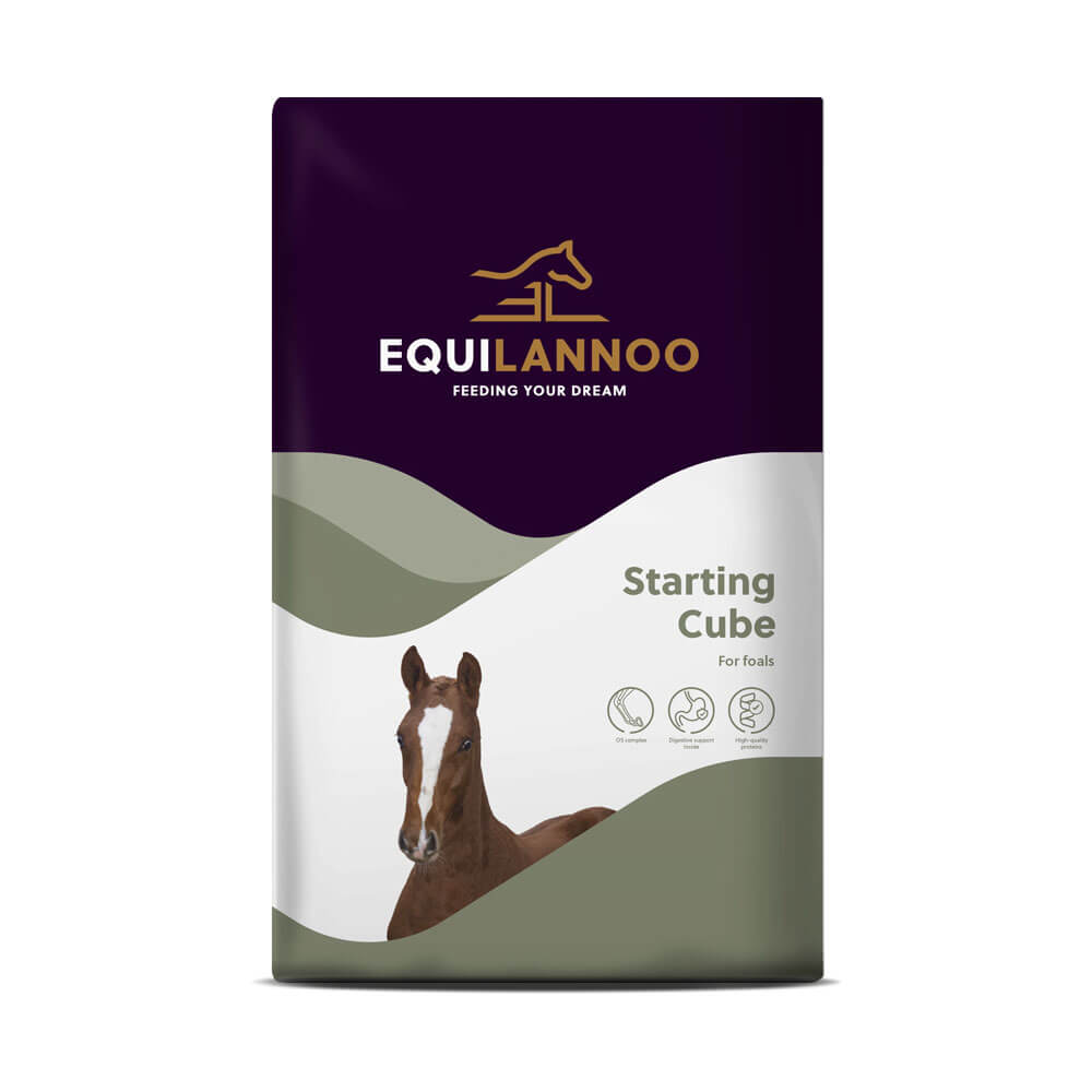 Starting Cube Equilannoo Paardenvoer