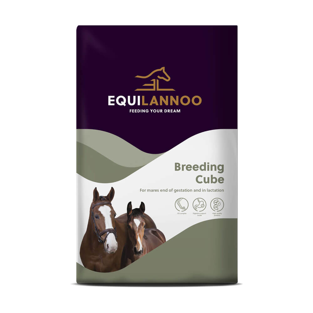 Breeding Cube Equilannoo Paardenvoer