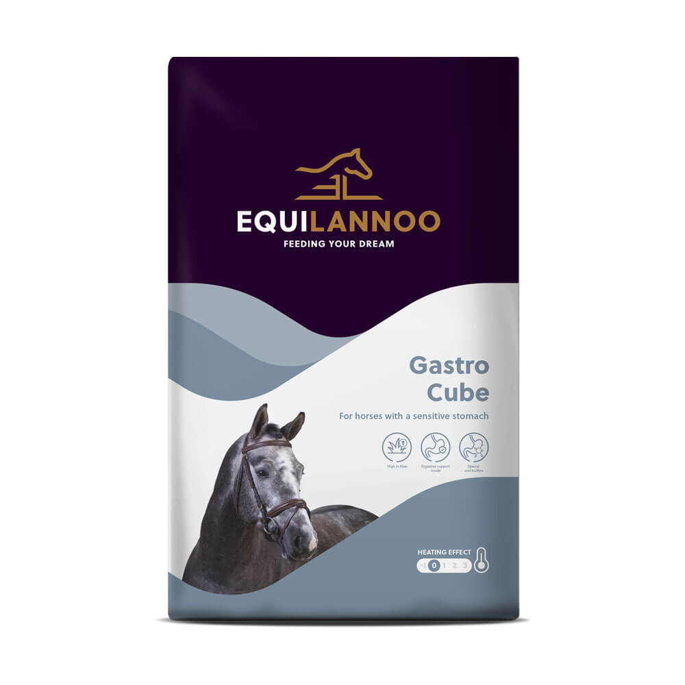 Gastro Cube Equilannoo Paardenvoer