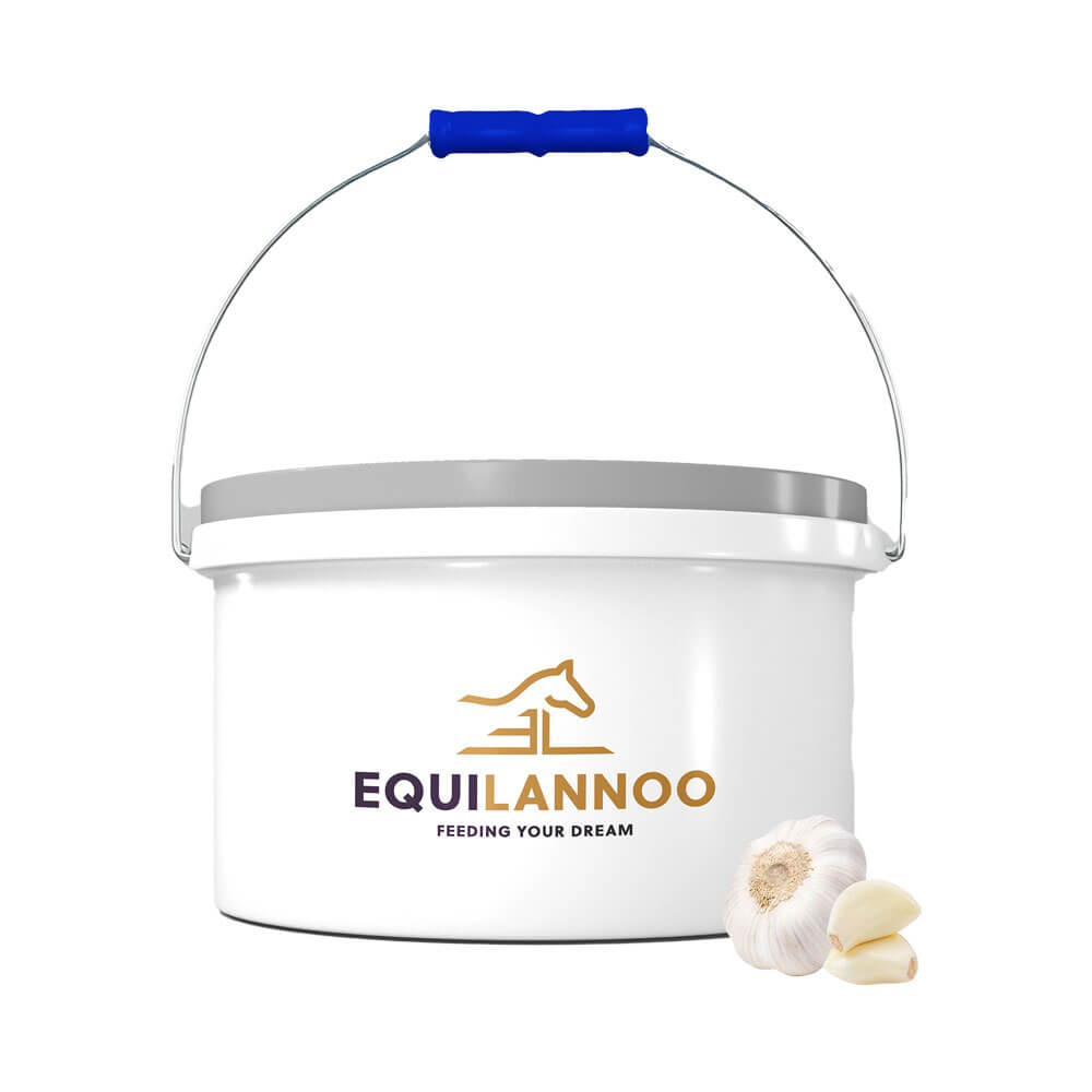 Mineral Bucket with Garlic equilannoo pa